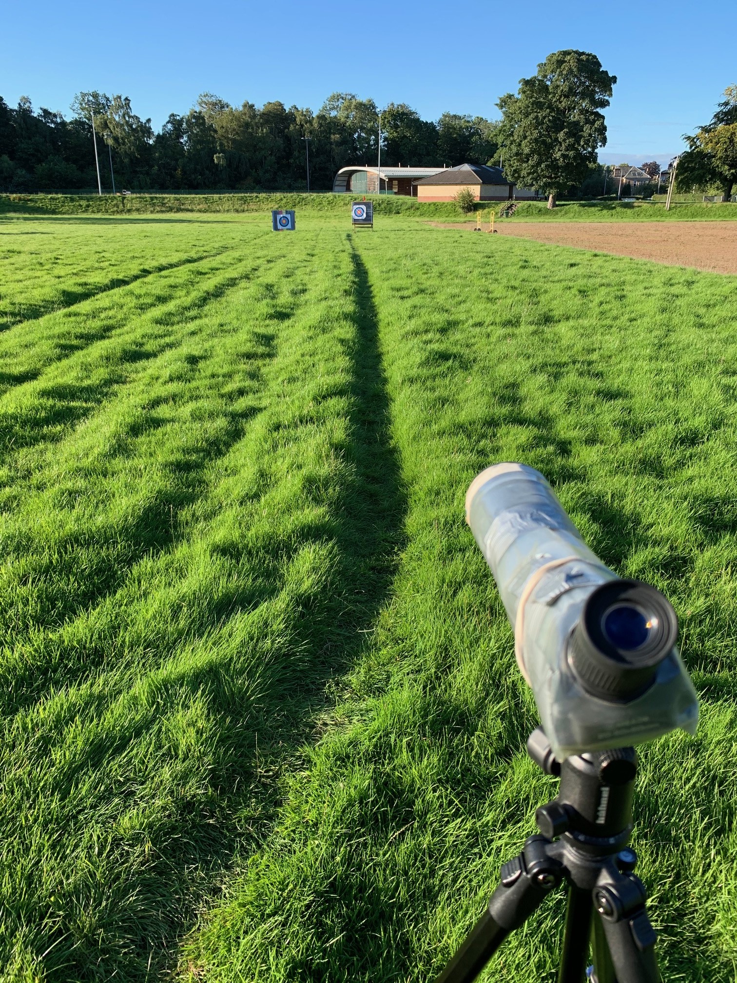 field ocd